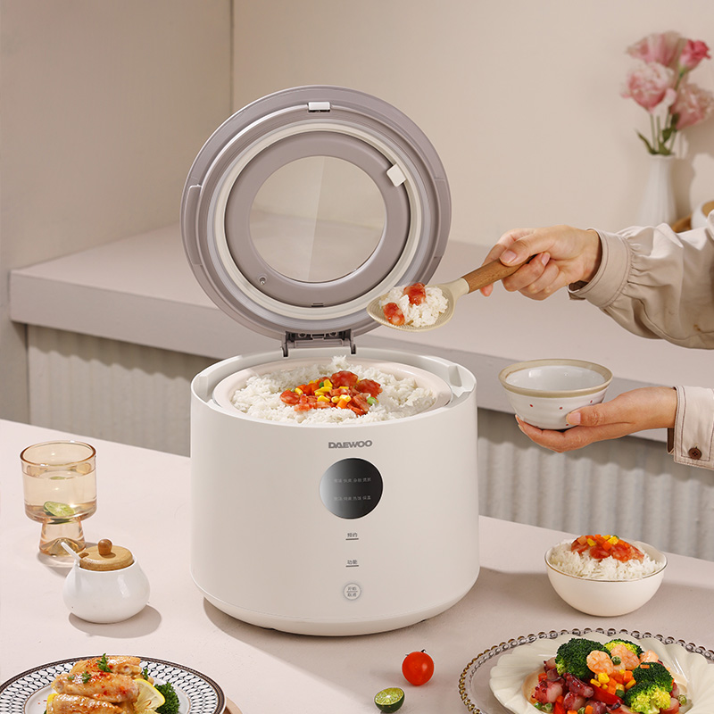 大宇 智能电饭煲 DYFB-409